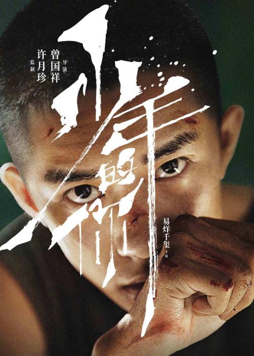 公司为什么要学历证书编号